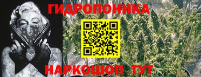 прущая мука Ликино-Дулёво